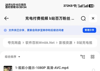 b站百万粉丝 影视解说号 「小片片说大片」充电付费视频
