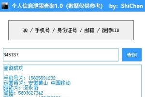 诗晨 - 个人隐私数据泄漏查询检测1.0